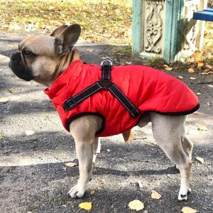 Furry Jacket | Het perfecte jasje voor het wandelen!