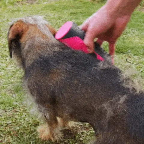 SilkGroom™ | Borstel voor hond & kat